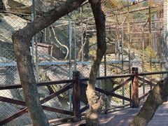 -海上云台山景区