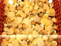 iphone_upload_pic-龙景轩大酒店(宝杨路店)