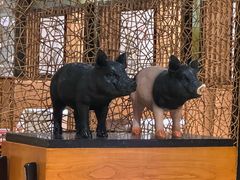 -郑庄脂渣海鲜楼(九水路店)