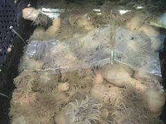 -大洋海鲜居·海鲜特色菜(墟沟海鲜美食城店)