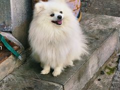 -高淳老街
