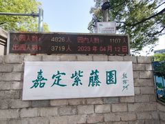 -嘉定紫藤园