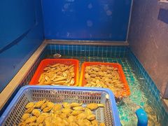 -鸽子侯·家宴·平价海鲜(市图书馆店)