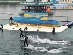 -秦皇岛乐岛海洋王国