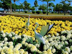 -集美鳌园景区