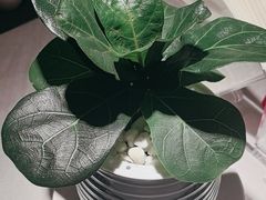 -玉满堂·湖北融合菜