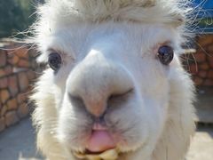 -金庭庄园酒店-停车场