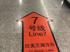 -杨高南路(地铁站)