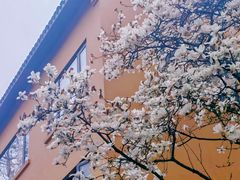 -龙华寺