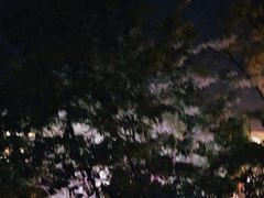 -小白鲨工夫潮膳(曲江店)