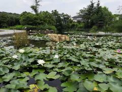-白马涧龙池景区