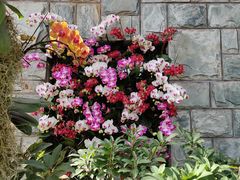 -北京植物园-展览温室