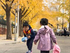 -三里屯东五街银杏大道