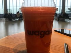 -Wagas沃歌斯(虹桥机场T1店)