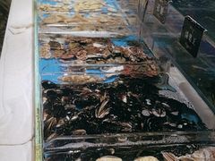 -加餐海鲜自助(宝龙一城店)