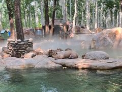 -北京野生动物园