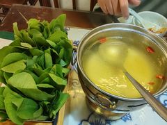 生烫鸡毛菜-卢大鲜鱼头捞饭(美利广场店)