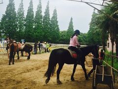 -太阳岛度假酒店