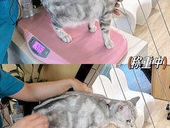 -pd派德宠物中心医院24H急重症·眼科中心·血液透析中心(嵩山北路店)