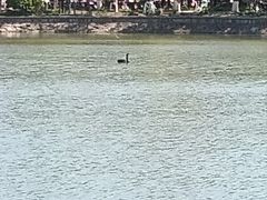 -上海交通大学(闵行校区)