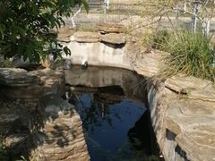 -华枫华元驾校(科技城校区)