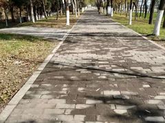 -咸阳湖景区-古渡公园