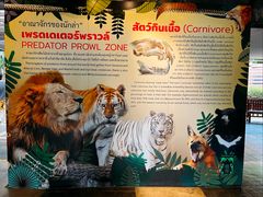 -清迈夜间动物园