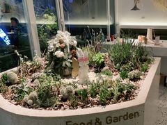 -春树下·树屋花房西餐厅(罍街AS1980店)