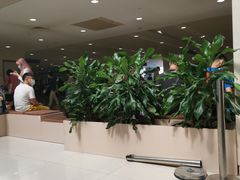 -上海交通大学医学院附属瑞金医院(总院)