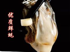 -新会鲜蚝鸡煲(新会总店)