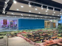 -钓虾工场·钓虾·赶海(回龙观店)