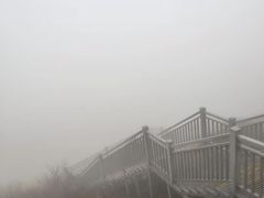 -东白山