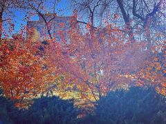 -元大都城垣遗址公园