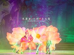 -勐巴拉娜西超级歌舞秀