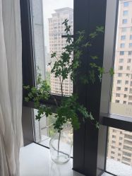 -弗蕾亚·和月月子调理院(东湖店)