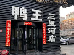 -鸭王烤鸭店(三里河店)