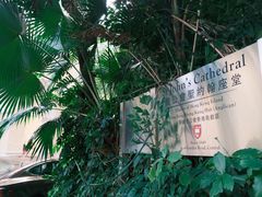 -圣约翰座堂