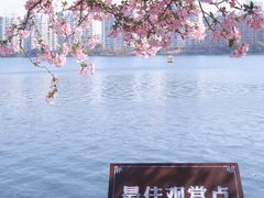 -莫愁湖公园