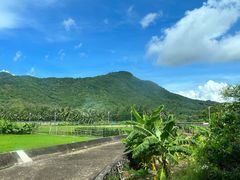 -亚龙湾国际玫瑰谷