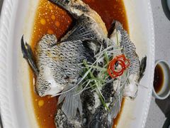 -不将就渔鲜码头(川沙店)