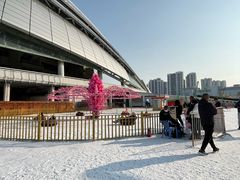 -沈阳奥体冰雪嘉年华