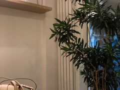 -团子君寿司·茶