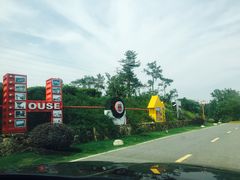 -汤山温泉房车营地 茶温泉