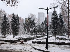 -山东大学(洪家楼校区)