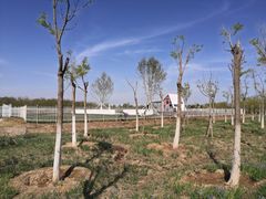 -天津东丽湖风景区