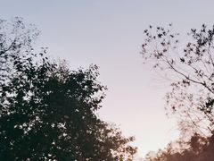 -红花湖景区