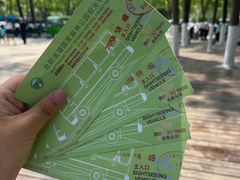 -合肥滨湖国家森林公园