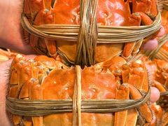 -蟹村草堂·苏式园林人文农家·大闸蟹