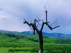 -新疆那拉提国家旅游度假区