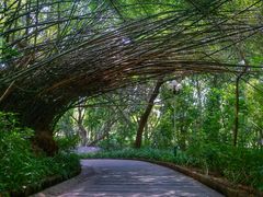 -人民公园(罗湖区)